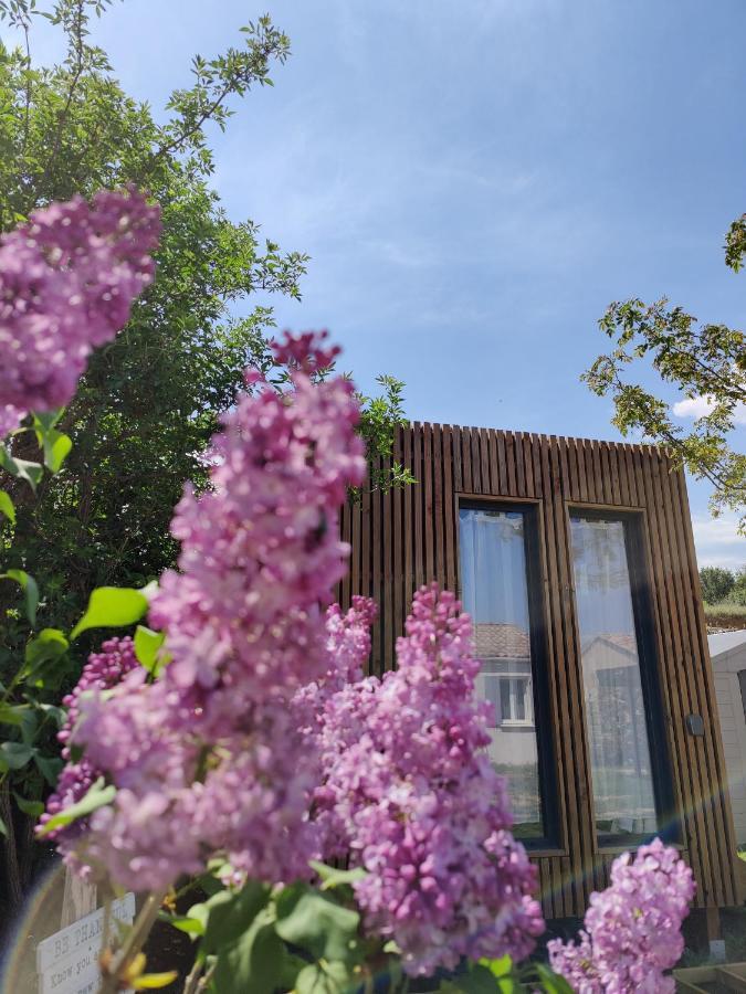 La Cabane De Lili Prune Goudargues Eksteriør billede